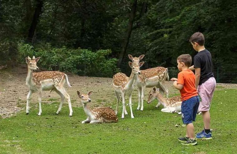 Famiglia al Parco Pallavicino di Stresa con bambini e cerbiatti